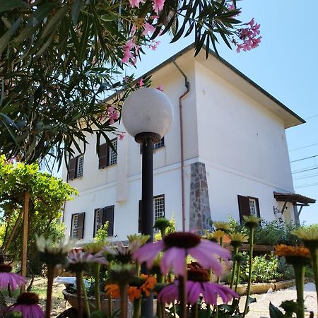 Ansedónia La Domus Di Cosa B&B 외부 사진