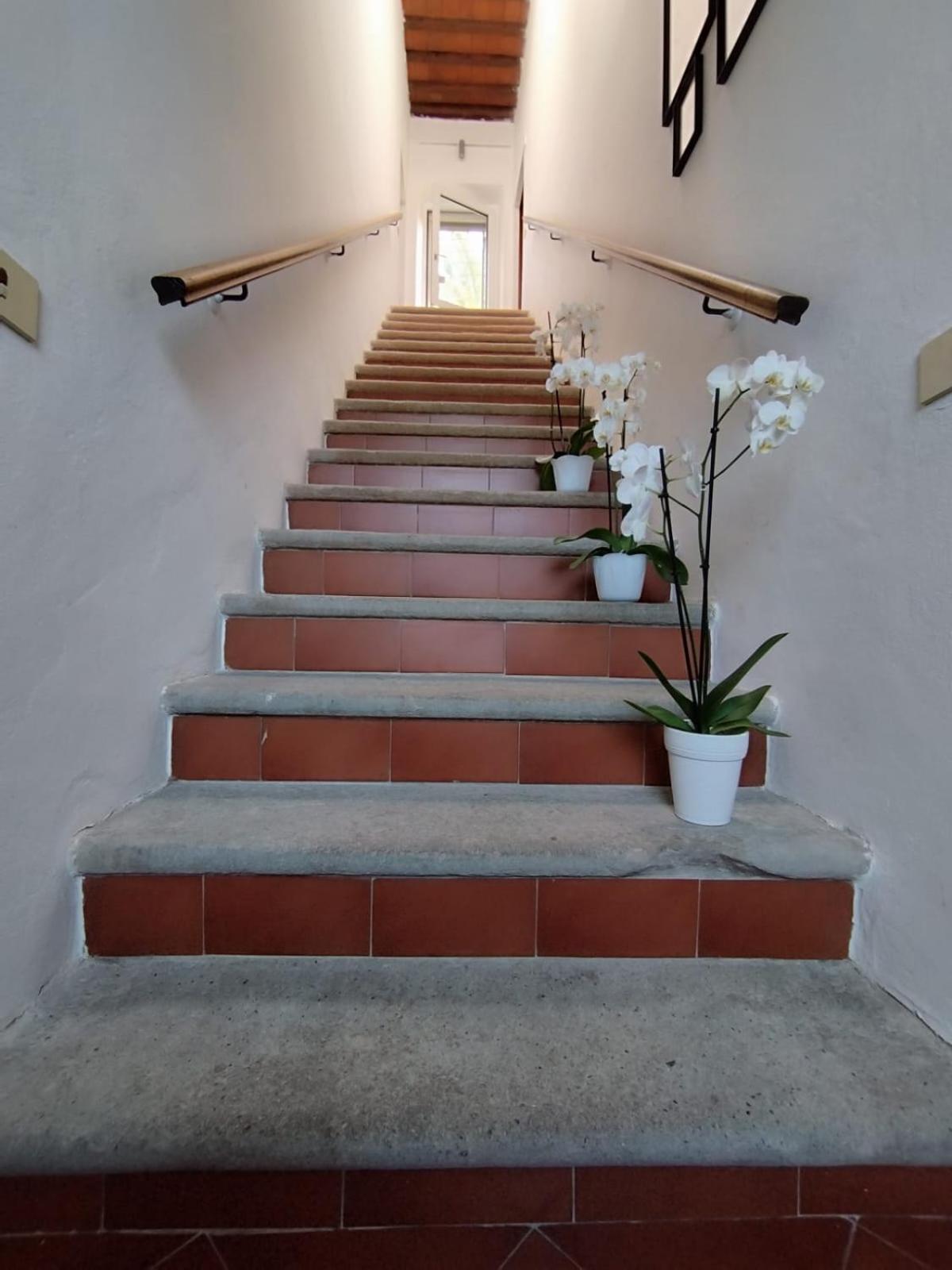 Ansedónia La Domus Di Cosa B&B 외부 사진
