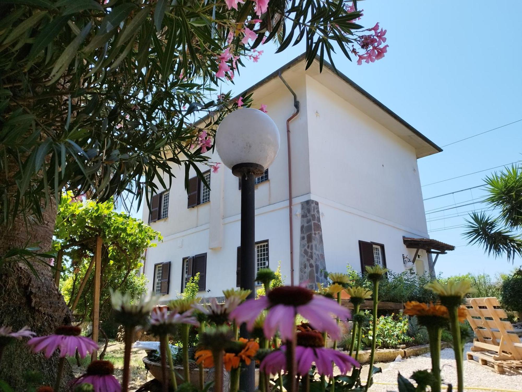 Ansedónia La Domus Di Cosa B&B 외부 사진